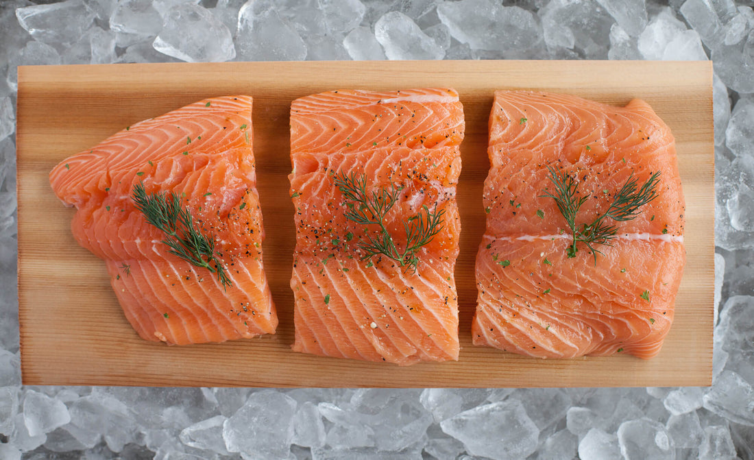 Salmon on Ice
