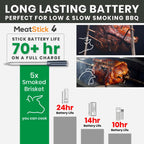 MeatStick 4X Set
