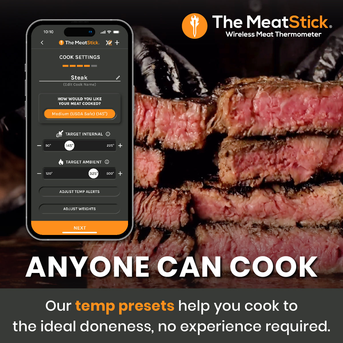 MeatStick 4X Set